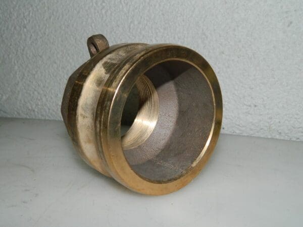 EVER-TITE Brass Adapter 3" Male Adapter Female NPT Thread 33020ABR