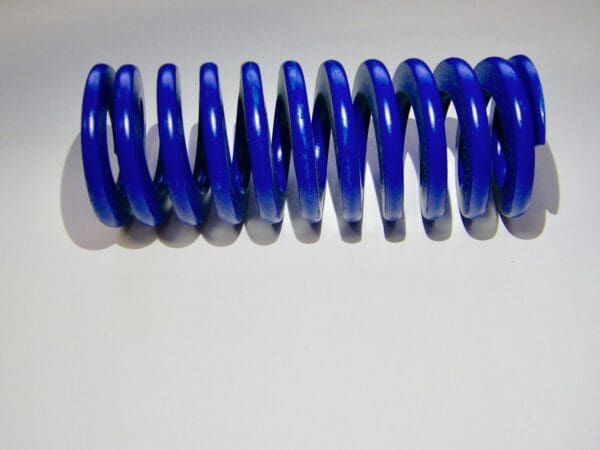 Associated Spring Raymond 50mm x 25mm x 5" Free Length Blue Die Spring 204-820