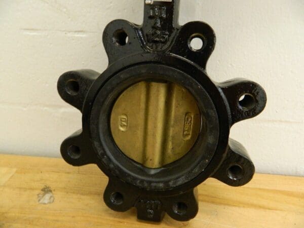 Legend Valve 4" Pipe Lug Butterfly Valve EPDM Seat