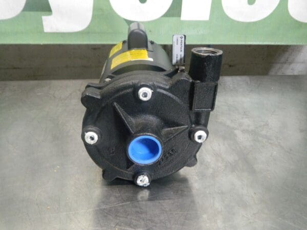 PENTAIR 115/208-230 Volt 1 hp 1 Phase ODP Cast Iron Straight Pump CHMCV34