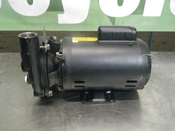 PENTAIR 115/208-230 Volt 1 hp 1 Phase ODP Cast Iron Straight Pump CHMCV34