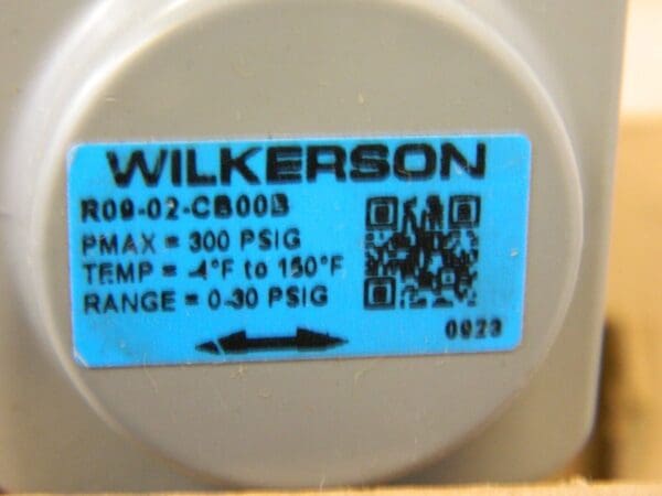 WILKERSON Compressed Air Regulator: 1/4″ NPT, 300 Max psi Common-P1 R09-02-CB00B