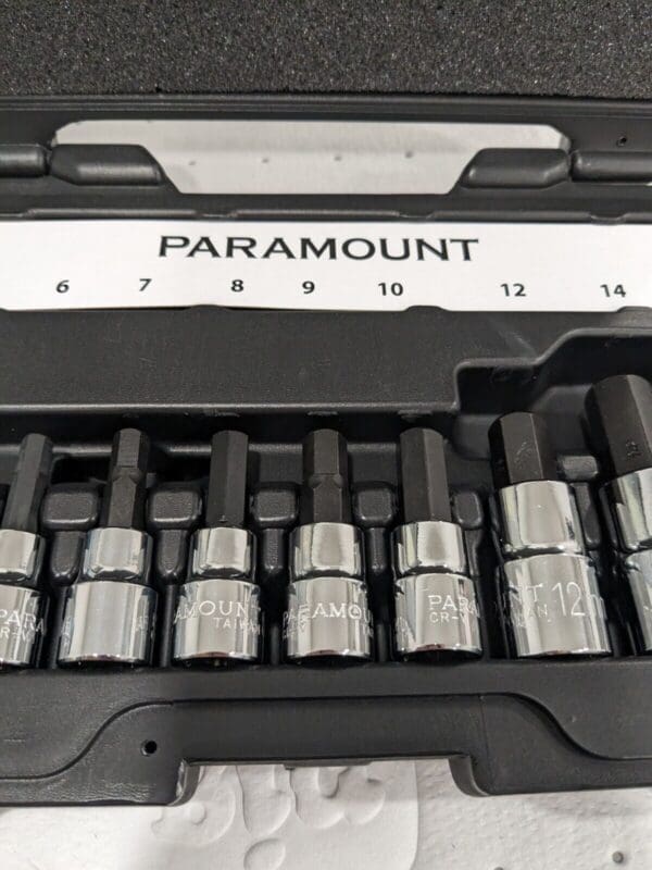 PARAMOUNT Hex Bit Socket Set: 3/8 & 1/2" Drive, 10 Pc, 4-17mm PAR-2HBS-S10M