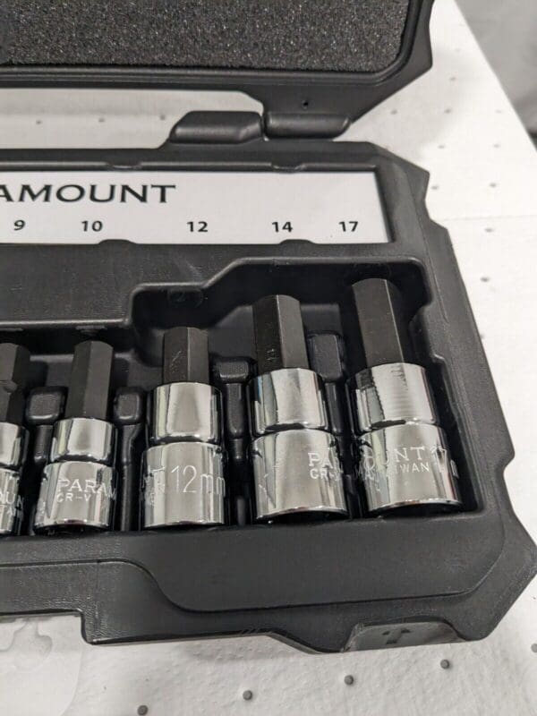 PARAMOUNT Hex Bit Socket Set: 3/8 & 1/2" Drive, 10 Pc, 4-17mm PAR-2HBS-S10M