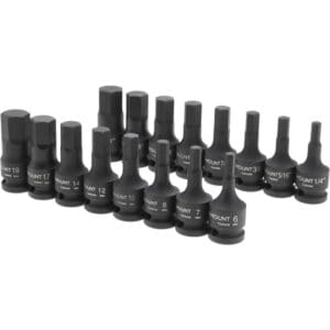 PARAMOUNT Hex Bit Socket Set: 1/2" Drive, 16 Pc, 1/4 to 3/4" Hex PAR-12ISKT-S16