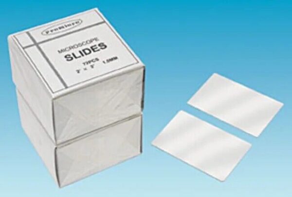 Ted Pella Large Plain Economy Glass Slides Beveled Corners 3"X2" QTY 144 260439