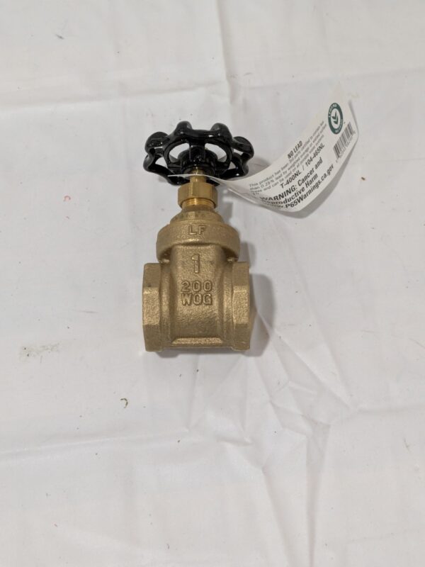 Legend Gate Valve: 1" Pipe, FNPT x FNPT, Brass 104-465NL
